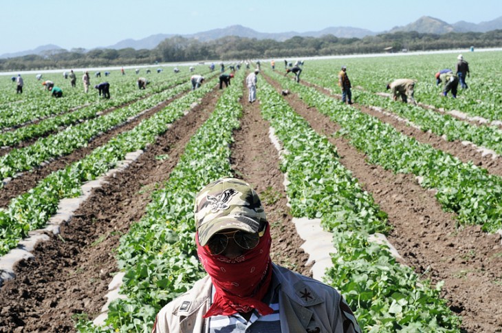 Nicaraguan workers in Costa Rica - Christian Tragni Christian Tragni ...